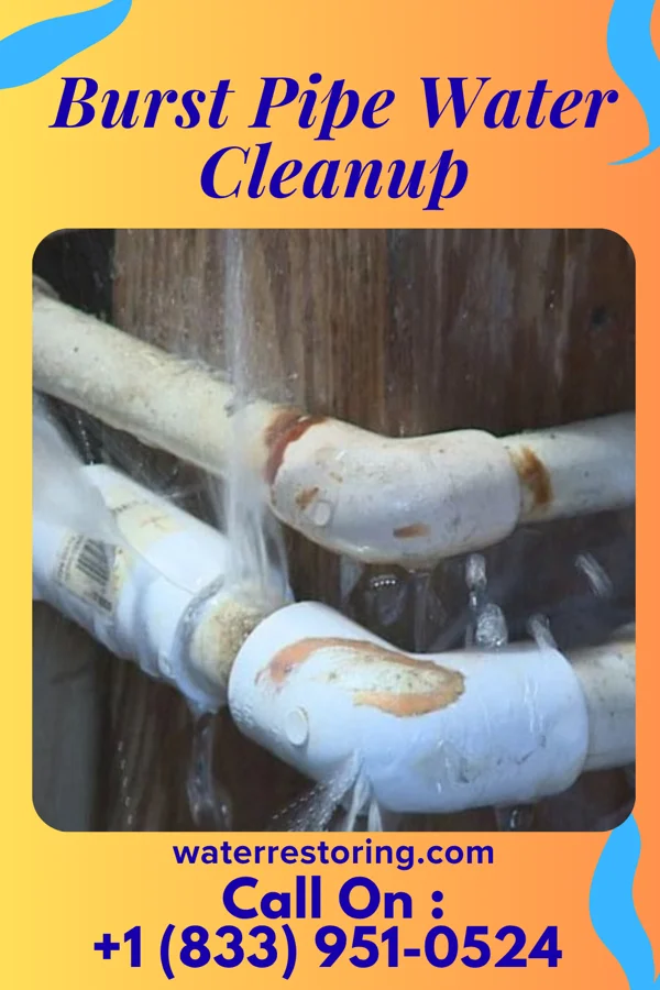 Burst Pipe Water Cleanup in Bogard, MO